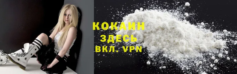 купить наркотики сайты  Кудымкар  Cocaine Columbia 